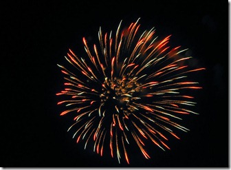 fireworks6
