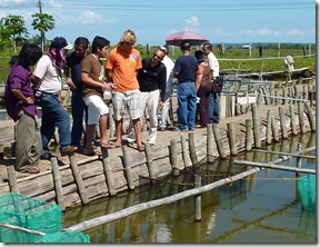 Trainees of the international marine fish hatchery training