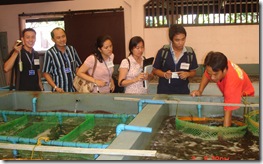 The trainees take notes on the hatchery production of abalone