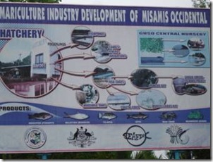 Mariculture Industry Development Plan of Misamis Occidental