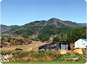 Chilgok Mt. Yuhak Area