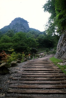 Cheongnyangsa Temple Wooden planks path 