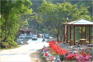 Uiseong Geumbong Recreational Forest 02