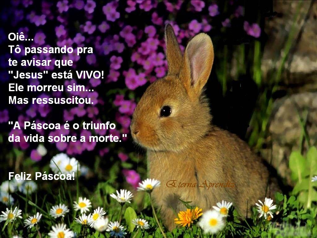feliz-P%C3%A1scoa.JPG