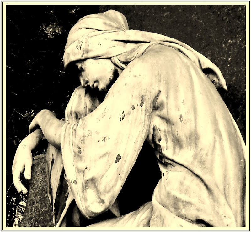 SDC19096.JPG