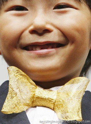 [Bow tie made of pure gold fibers001[3].jpg]