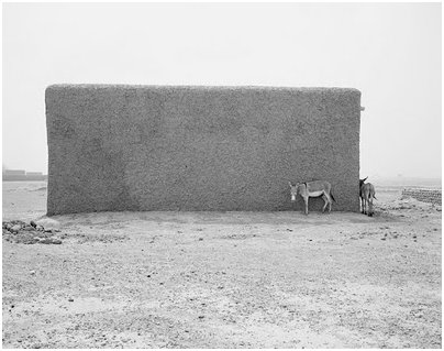 [image12[2].png]