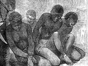 [clip_image002[5].jpg]