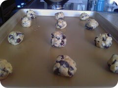 Oreo cookies 023