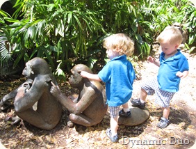 boys with gorillas