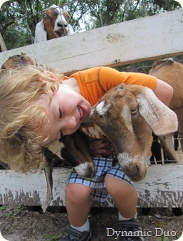 raleigh, really, really, loves him some goat!