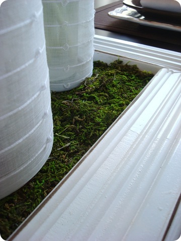moss lined tray