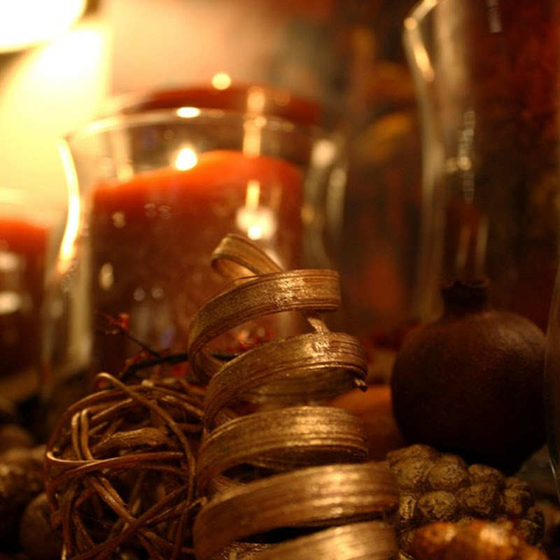 Rewind: Warm fall glow