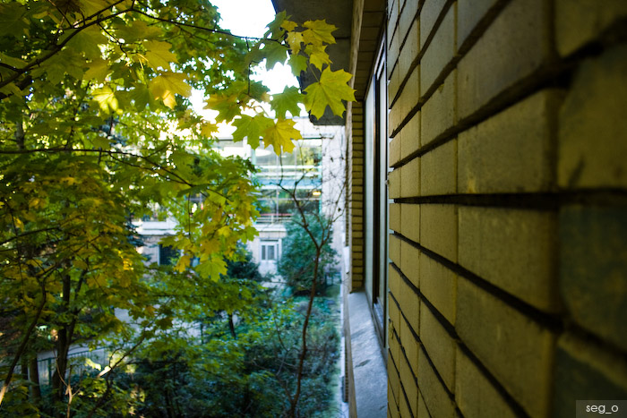 Московский городской Дворец детского и юношеского творчества (бывший Дворец Пионеров)