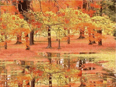 03.gif