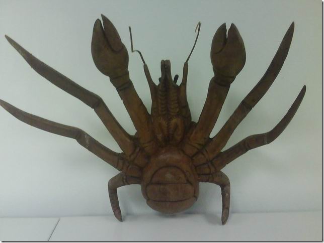 crab or spidy