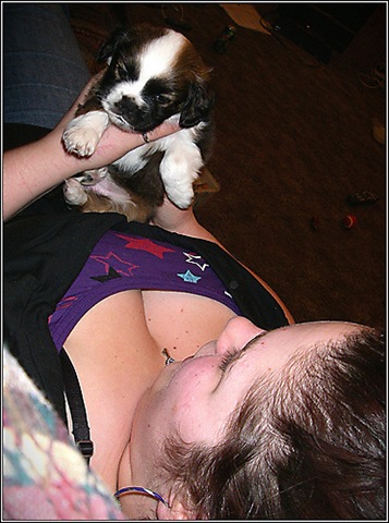 [puppy_busted_staring_boobs_20100305_1870313980[3].jpg]