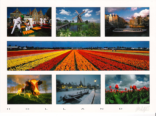 http://lh5.ggpht.com/_w_A-tako4oU/TNWJ9Qc--XI/AAAAAAAAA0A/ba6-RK8Qu5A/Holland%20-%20Multiple%20tulpenveld.jpg