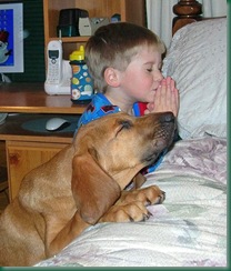 dog prayer