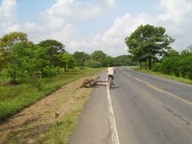 [El Salvador Nicarauga 2008 014[2].jpg]