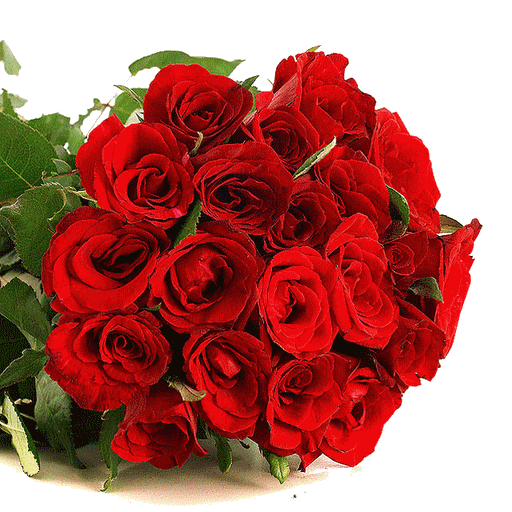 sizzling_passion_FA10952_enlarge.png