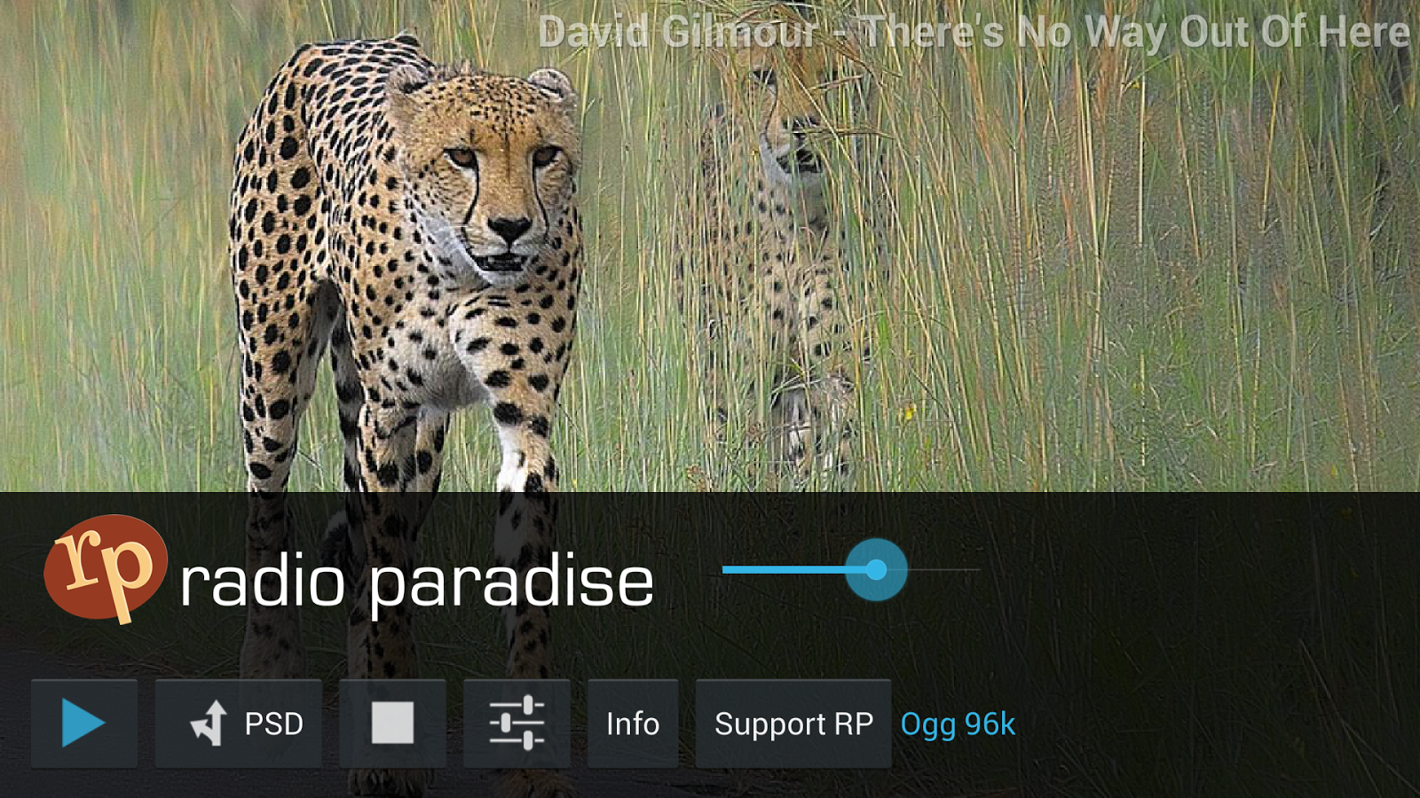 Radio Paradise Android Apps on Google Play