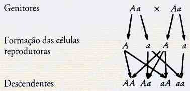 clip_image003