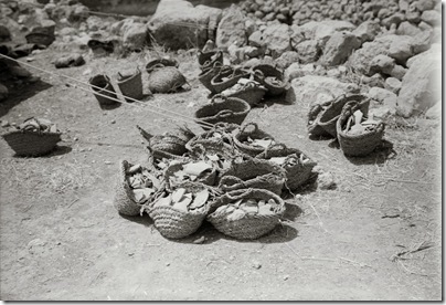 Tell Beit Mirsim, pottery baskets, mat05733