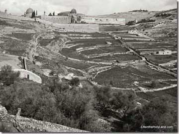 Ophel, site of City of David, mat05424