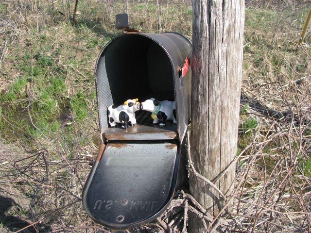 [mailbox4.jpg]
