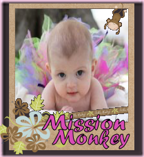 missionmonkey