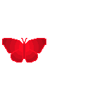 00.png