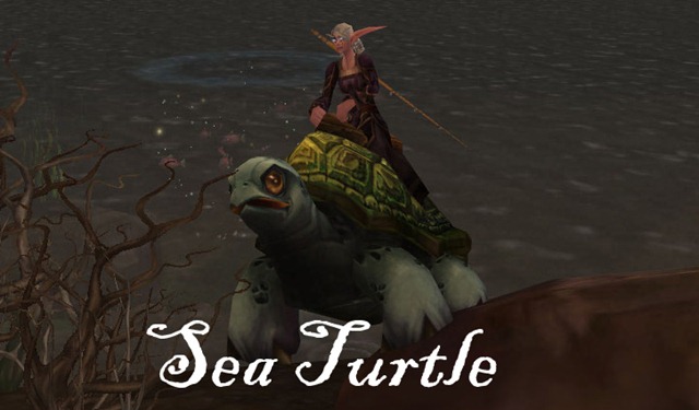 [sea_turtle_mount[4].jpg]