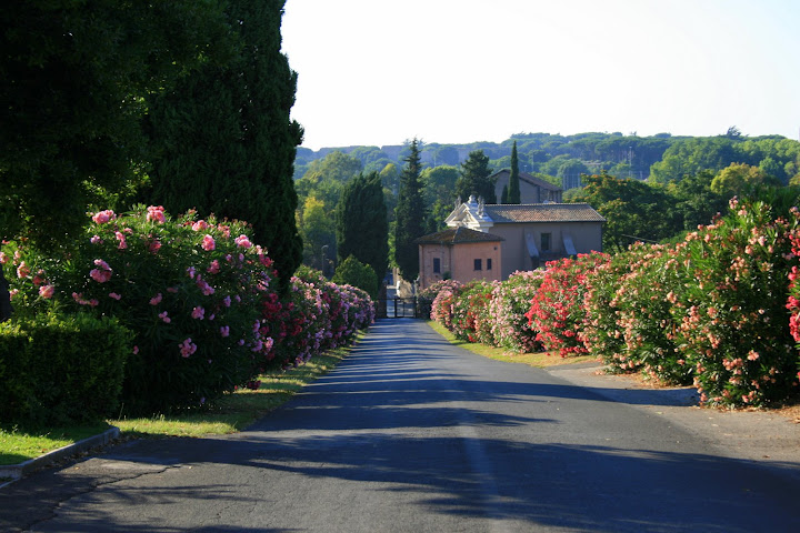 apia italy