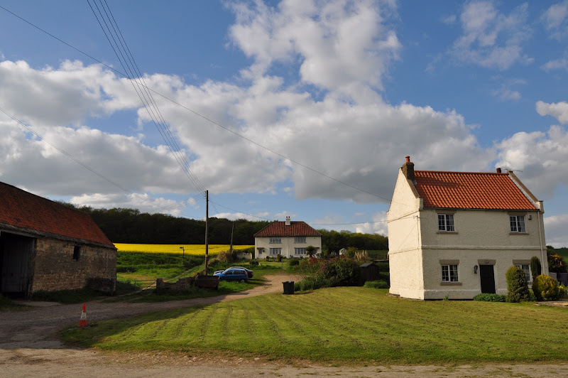 White%20Houses%20366.JPG