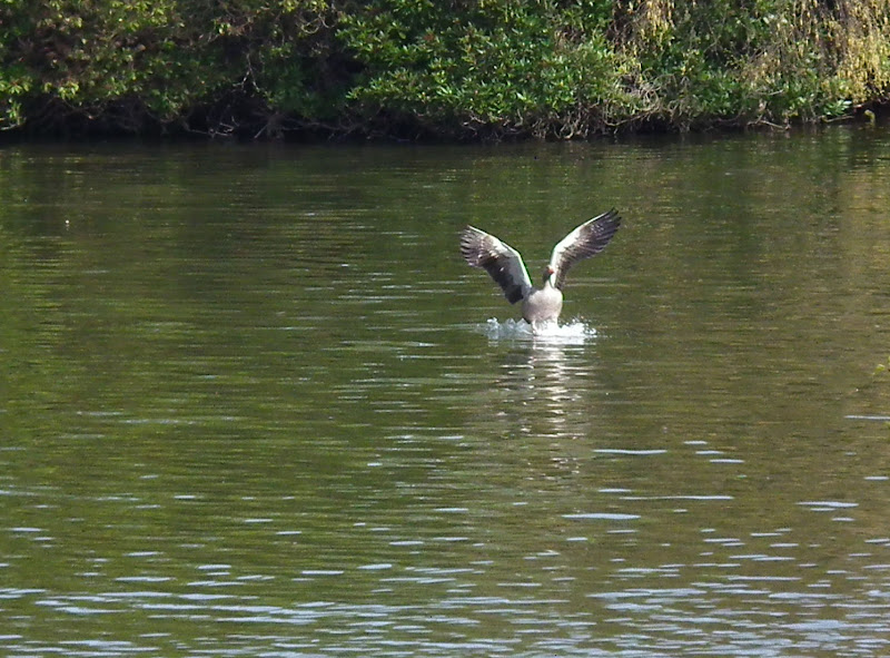 SplashDown%20512-3.jpg