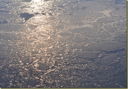DSC_0380 DSC_0380