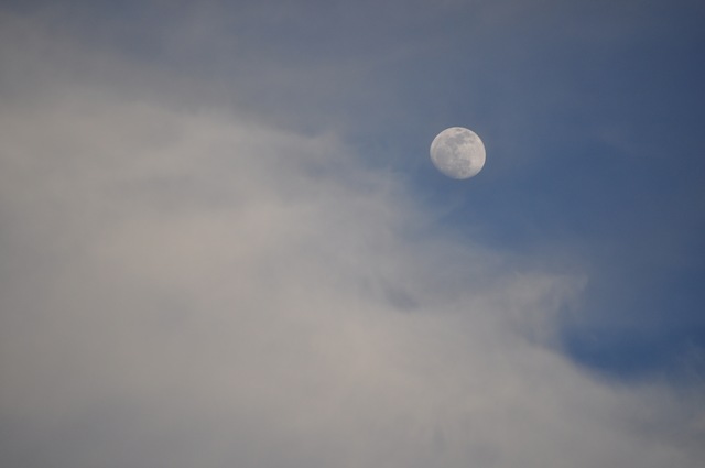 [02-15-11 moon 09[2].jpg]
