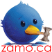 Follow Zamolxis on Twitter Icon