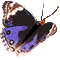 2ky1o6av.png