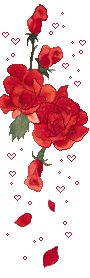 006xr26d.png