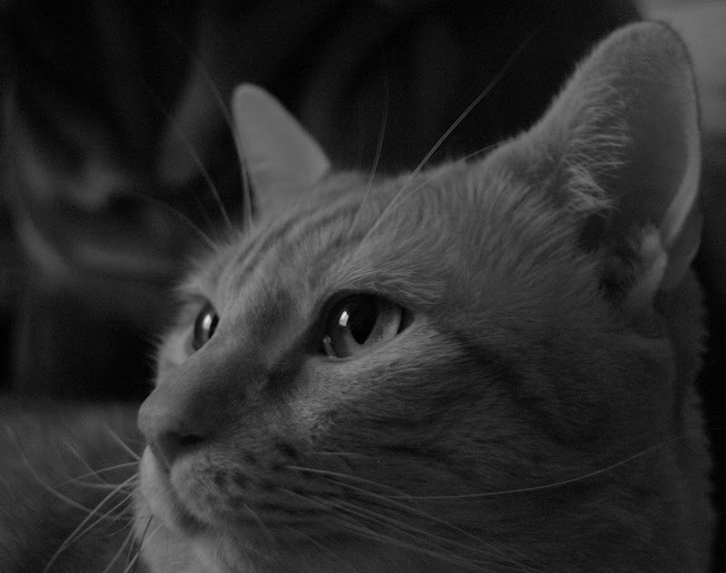 DSC_0026.JPG