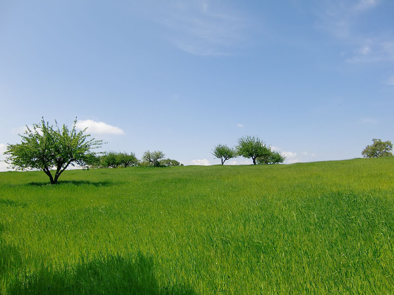 POMARICO HD 03 May 2010 POMARICO ITALY