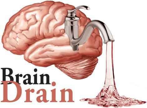 [brain-drain[2].jpg]