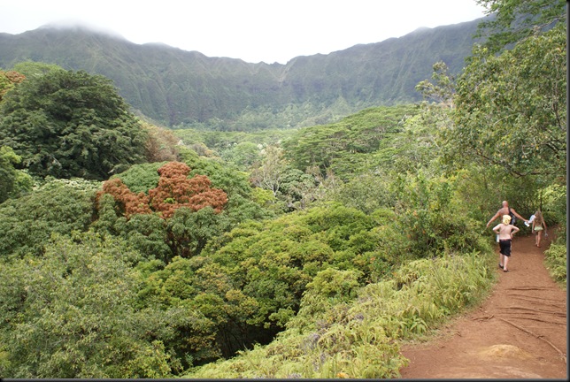 Maunawili hike 149