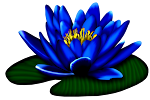 carlaperlinWaterLily%203.png