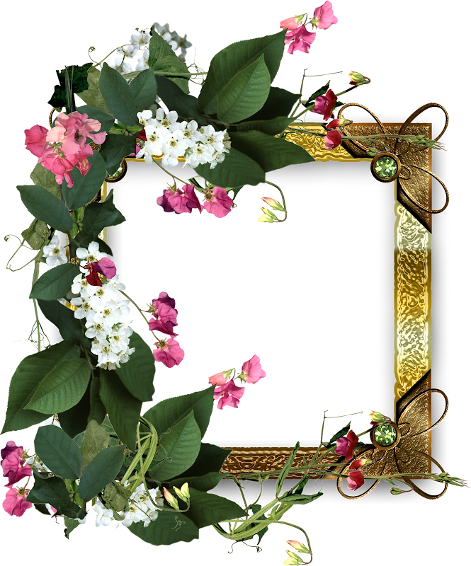 cluster_frame2.png