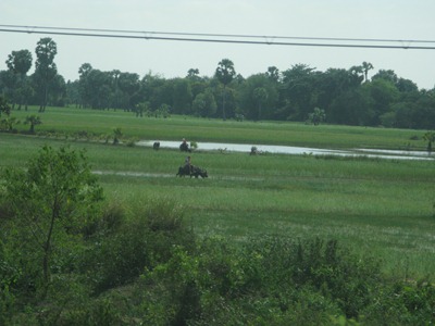 [IMG_47133.jpg]