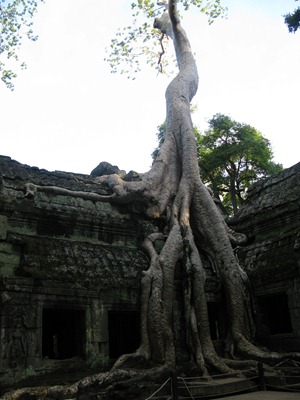 [IMG_56163.jpg]
