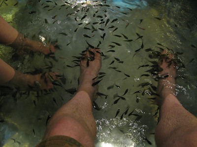 [IMG_57553.jpg]